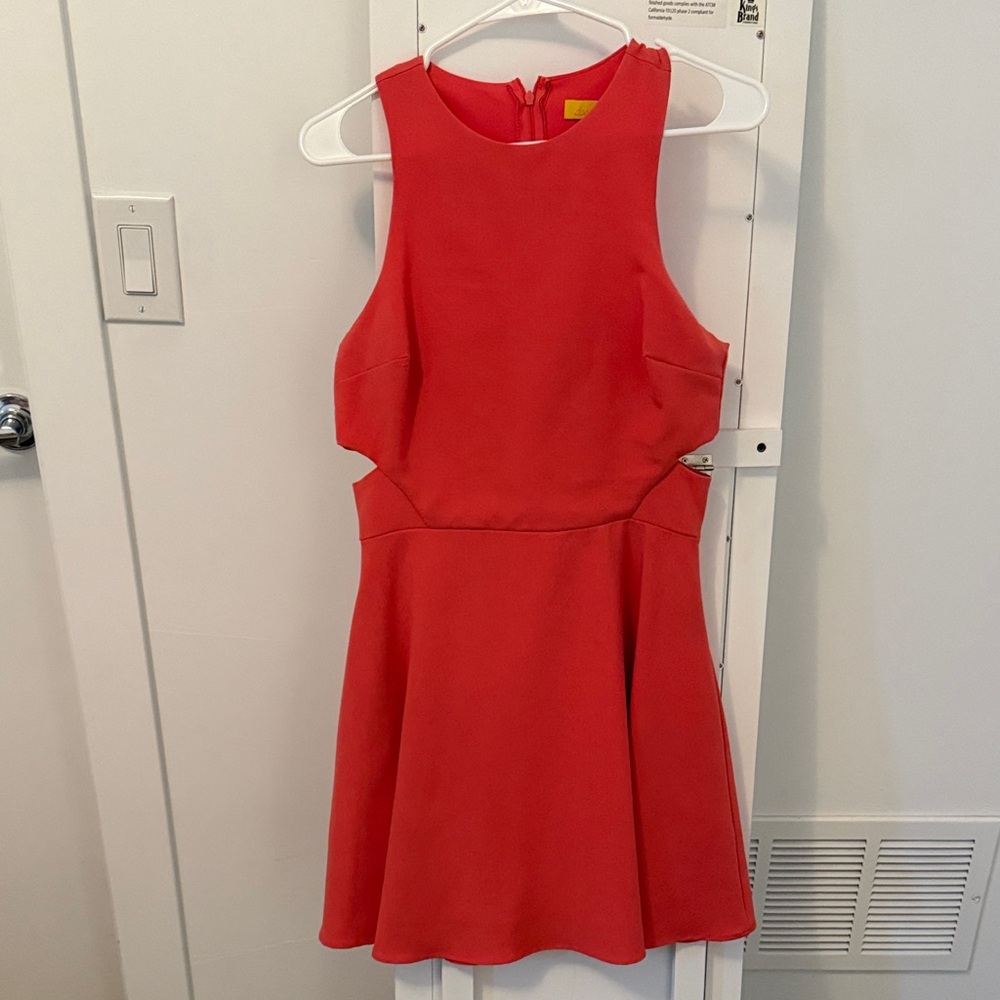 Dee Elle Vibrant Red Mini Dress